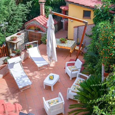De Vivo Realty - Daisy House Appartement *