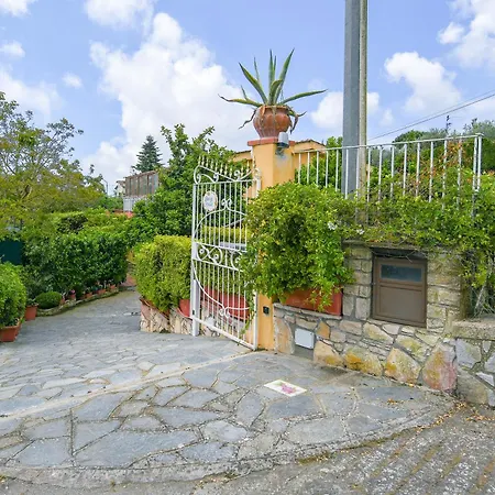 De Vivo Realty - Daisy House
