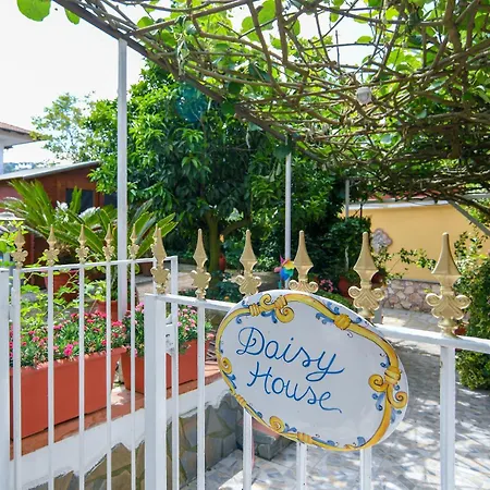 Daisy House *